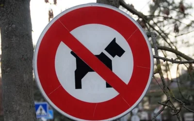 Chiarimenti del Ministero della Salute su accesso animali domestici in esercizi di vendita alimenti