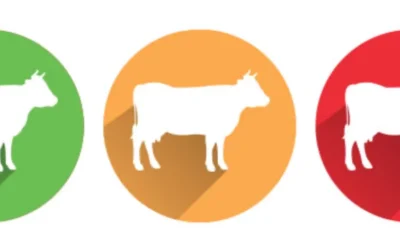 Aggiornamento Linee Guida per Sottoprodotti di Origine Animale