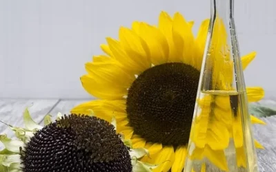 Sospensione misura temporanea per olio di girasole con nota del Ministero delle Imprese e del Made in Italy del 23/05/2023